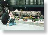Flower Garden